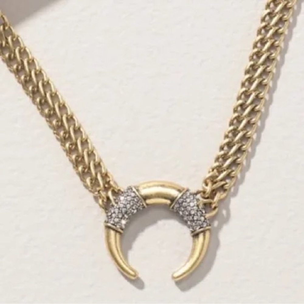 Stella & Dot Double Take Horn Necklace